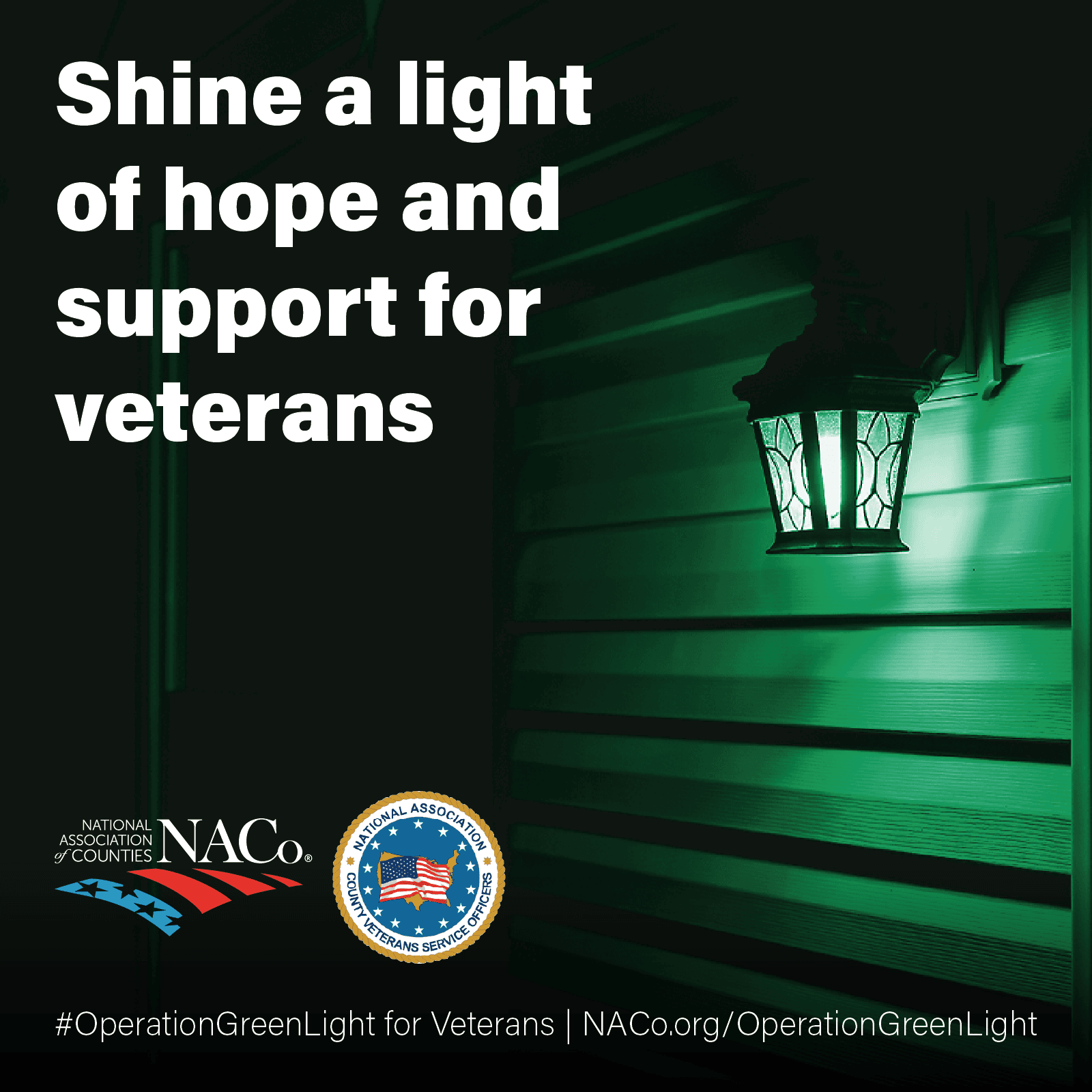 Operation Green Light 2022