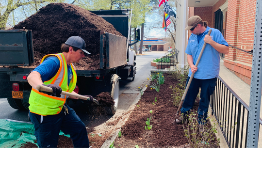 Flower Bed Maintenance at Town Hall