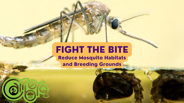 Mosquitoes and Stormwater Myths and Facts web