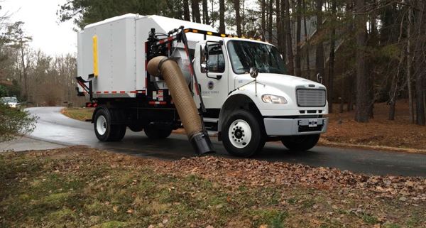 leaf collection 2022 low