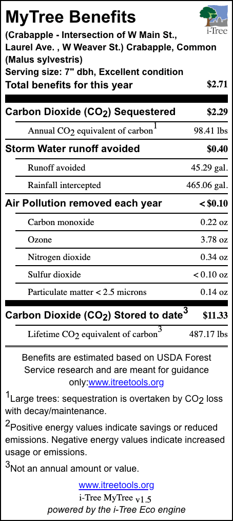 Crabapple Triangle Intersection