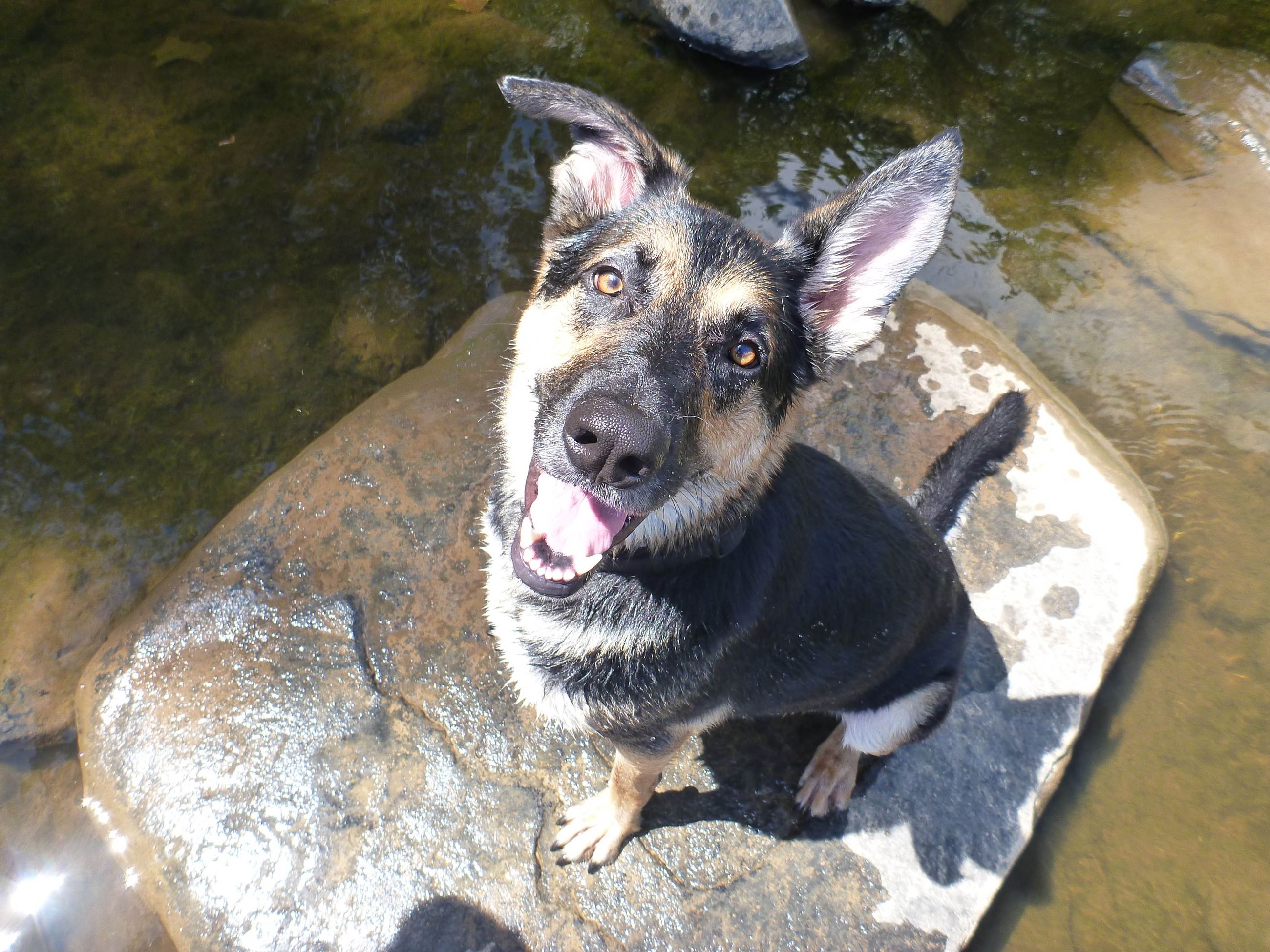 Oli on the Haw  (1 of 1)